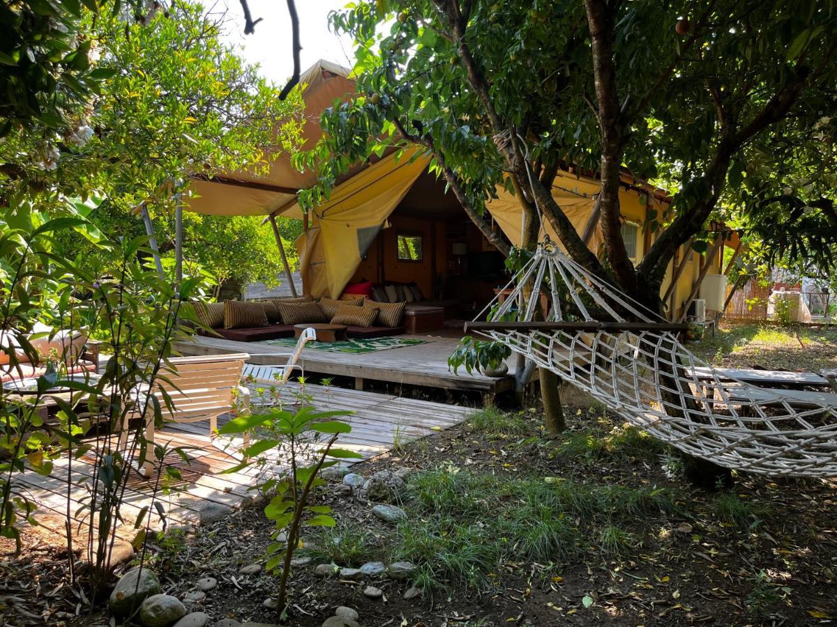 Campo Portakal Eco Glamping Hotel Cirali Bagian luar foto