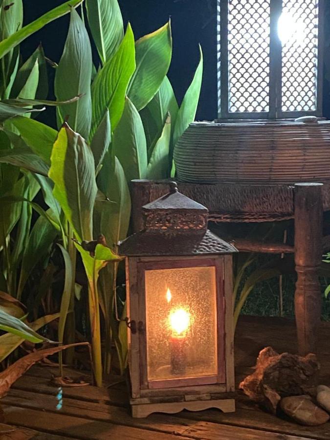 Campo Portakal Eco Glamping Hotel Cirali Bagian luar foto